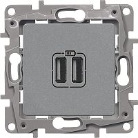 Розетка USB тип A+A без рамки Legrand Etika 2-м. 2400мА алюминий картинка